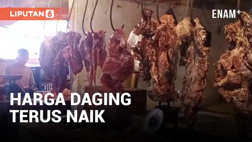 VIDEO: Selama Ramadhan Harga Daging Sapi dan Kerbau Naik