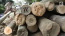 Pedagang menyerut batang pohon pinang yang dijual di kawasan Manggarai, Jakarta, Kamis (3/7). Pohon pinang tersebut dijual seharga Rp900ribu perbatang, yang banyak digunakan untuk meramaikan perlombaan perayaan HUT RI. (Liputan6.com/Immanuel Antonius)