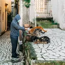 Anabul Kesayangan Picky Eater, Ini Tips yang Perlu Diketahui Pet Owner