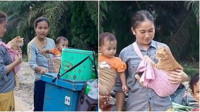 6 Potret Kucing Nyeleneh Gayanya Bak Seorang Bayi Ini Bikin Gemas