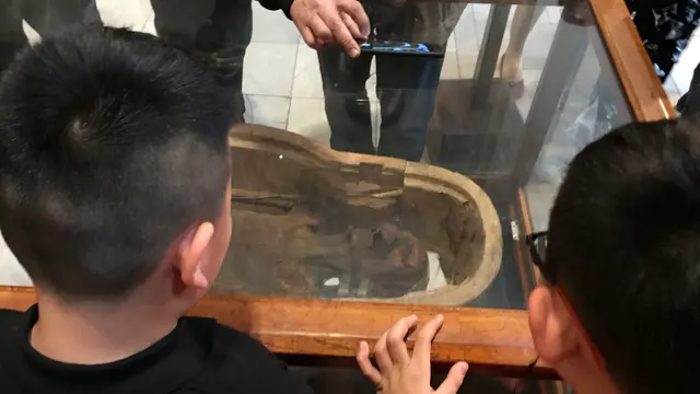 Museum Mesir Pamerkan Mumi Menjerit