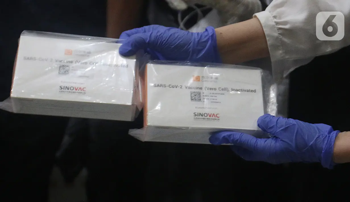 Petugas menunjukan vaksin COVID-19 Sinovac sebelum dimasukkan ke dalam lemari pendingin saat tiba di Gudang UPTD Farmasi Kabupaten Bekasi, Tambun, Jawa Barat, Rabu (27/1/2021). Sebanyak 12.000 dosis vaksin COVID-19 dari Biofarma Bandung tiba di Kabupaten Bekasi. (Liputan6.com/Herman Zakharia)