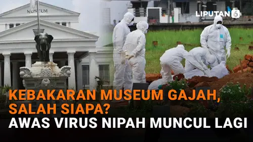 VIDEO: Kebakaran Museum Gajah, Salah Siapa?, Awas Virus Nipah Muncul Lagi