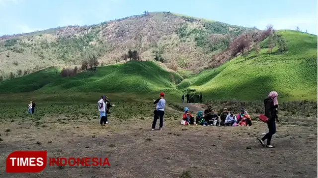 Tak Lagi Hitam, Bukit Teletubbies Bromo Kembali Ramai oleh Pengunjung
