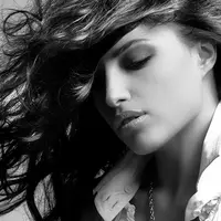 Ulat bulu merupakan hewan kecil serta lunak yang dapat bermetamorfosis menjadi kupu-kupu.