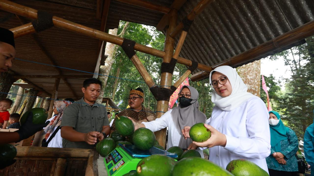 Bupati Ipuk Ngantor di Desa Bumiharjo, Petik Alpukat Aligator dan Gali Potensi Pertanian
