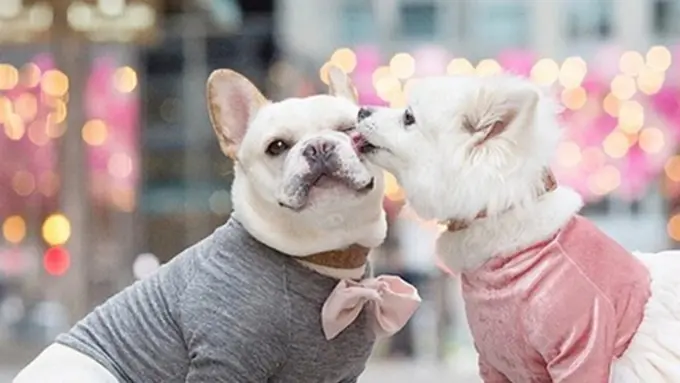 Photo: Copyright instagram.com/sebastianlovesluna