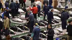 Orang-orang menghadiri tradisi lelang Tahun Baru di Pasar ikan Toyosu, Tokyo, Minggu (5/1/2020). Lelang ikan ini adalah kegiatan rutin usai Tahun Baru yang biasanya diadakan menjelang fajar di pasar ikan Toyosu. (Kazuhiro NOGI / AFP)