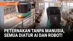 Peternakan ini dioperasikan oleh kecerdasan buatan (AI) yang bisa menakar berapa banyak pakan yang dibutuhkan oleh sapi, serta robot yang bisa membersihkan kandang.
