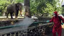 Petugas pemadam kebakaran Sudin Jaksel melakukan penyemprotan disinfektan di sekitar kandang gajah di Kebun Bintang Ragunan, Jakarta, Rabu (17/6/2020). Penyemprotan dilakukan jelang pembukaan kembali Kebun Binatang Ragunan untuk umum pada 20 Juni mendatang. (merdeka.com/Arie Basuki)