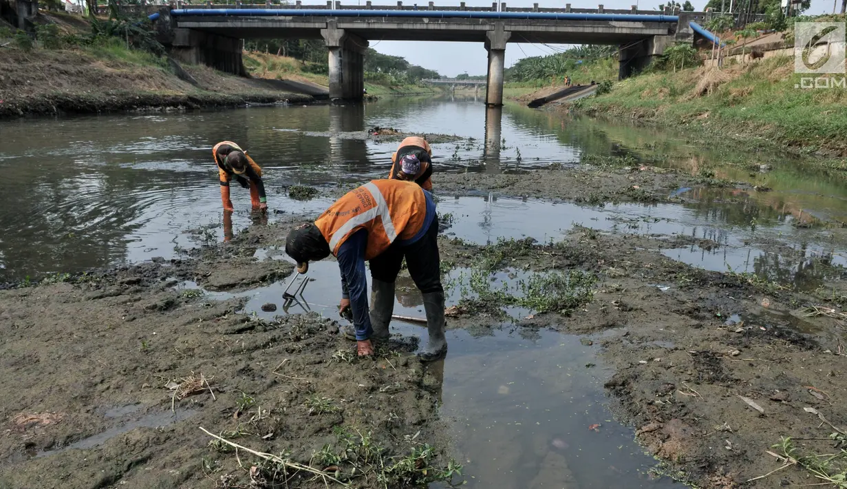 Petugas UPK Badan Air Dinas Lingkungan Hidup Provinsi DKI Jakarta membersihkan rerumputan dan sampah di dasar aliran Kanal Banjir Timur, Jakarta, Rabu (7/8/2019). Kemarau berkepanjangan mengakibatkan debit air Kanal Banjir Timur menyusut hingga dasar aliran terlihat. (merdeka.com/Iqbal Nugroho)
