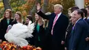 Presiden Donald Trump mengampuni kalkun dalam upacara pengampunan Turki Thanksgiving yang ke 70 tahun sebagai Taman Mawar Gedung Putih di Washington, AS, (21/11). (AP Photo / Evan Vucci)