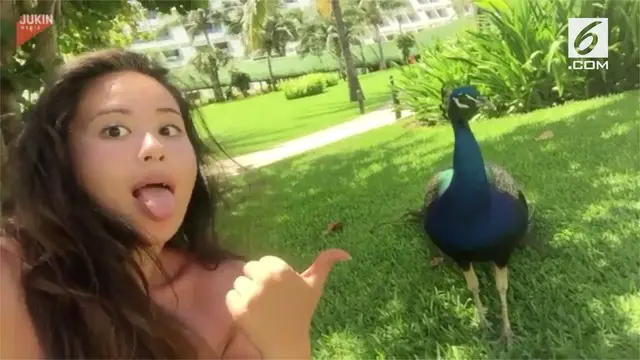Lucu tapi kasihan, seorang gadis diserang oleh burung merak saat sedang video selfie.