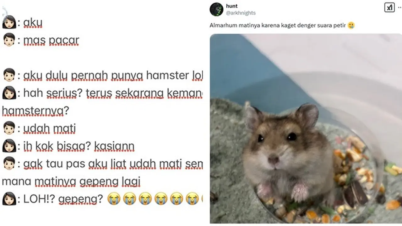 6 Cerita Netizen Hamster Peliharaannya Mati Ini Bikin Sedih Sekaligus Ngakak