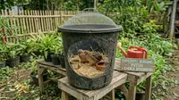 6 Cara Memanfaatkan Ember Retak Menjadi Kandang Ternak Sederhana yang Fungsional