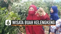 kelengkeng thumbnail