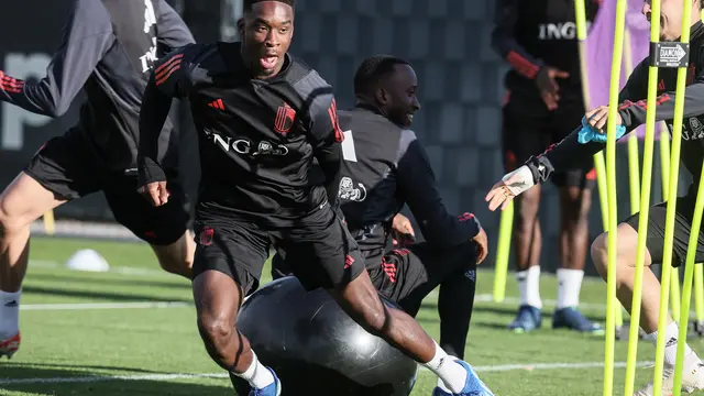 Latihan Belgia Vs Swedia, Grup F Kualifikasi EURO