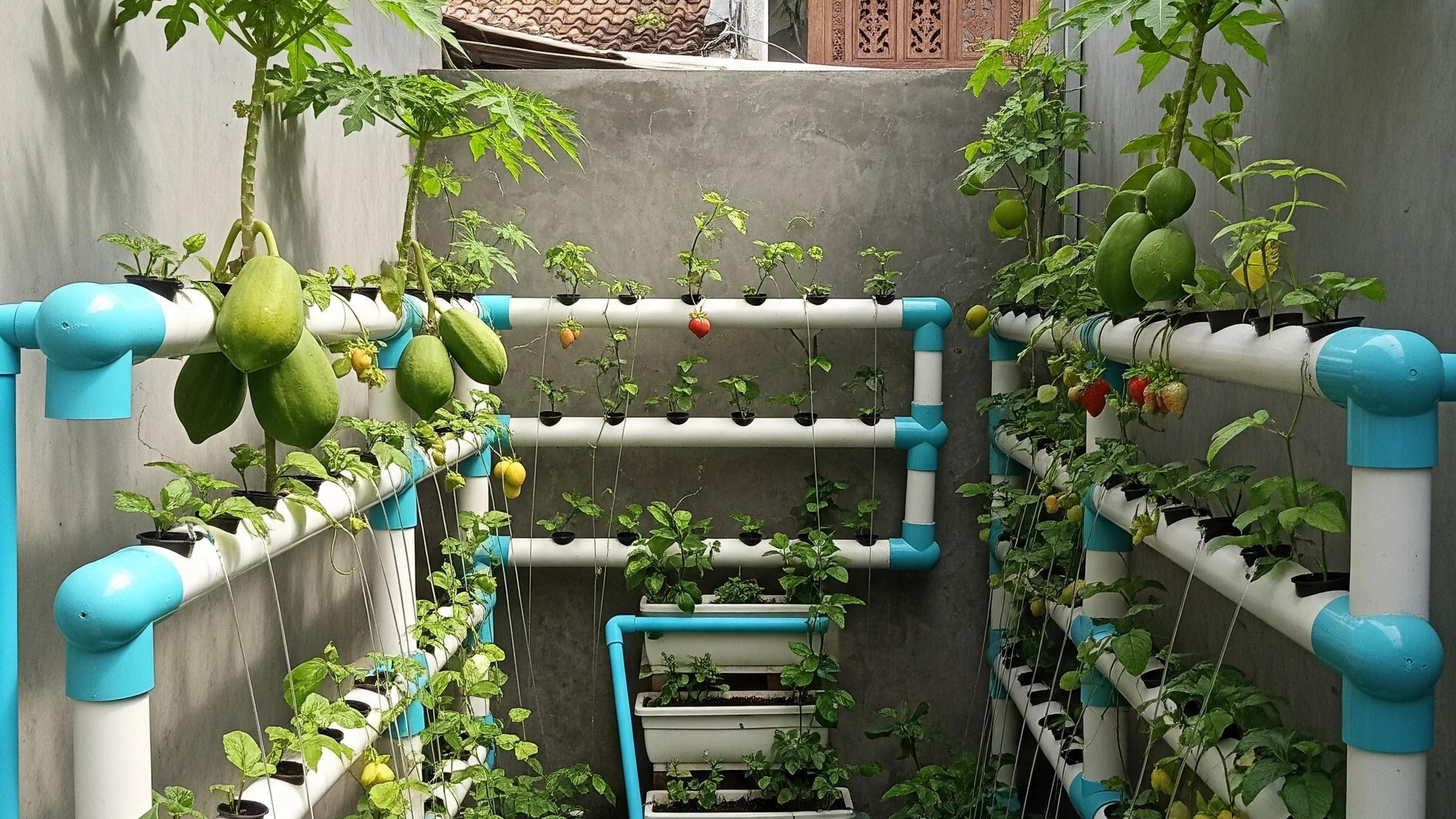 7 Ide Kebun Mini dengan Pengairan Otomatis, Panduan Lengkap untuk Ruang ...