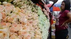 Seorang pembeli melihat bunga mawar yang dijajakan di sebuah kios sehari sebelum Valentine Day di Manila, Filipina, Rabu (13/2). Sudah tradisi di seluruh dunia, setiap hari valentine identik dengan pemberian bunga atau coklat. (TED ALJIBE/AFP)