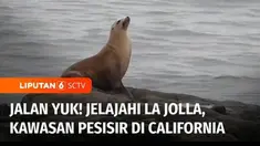 Jalan Yuk kali ini untuk menikmati kawasan pesisir La Jolla di San Diego, California. Di sini banyak galeri seni, karena memang warga La Jolla mencintai seni.