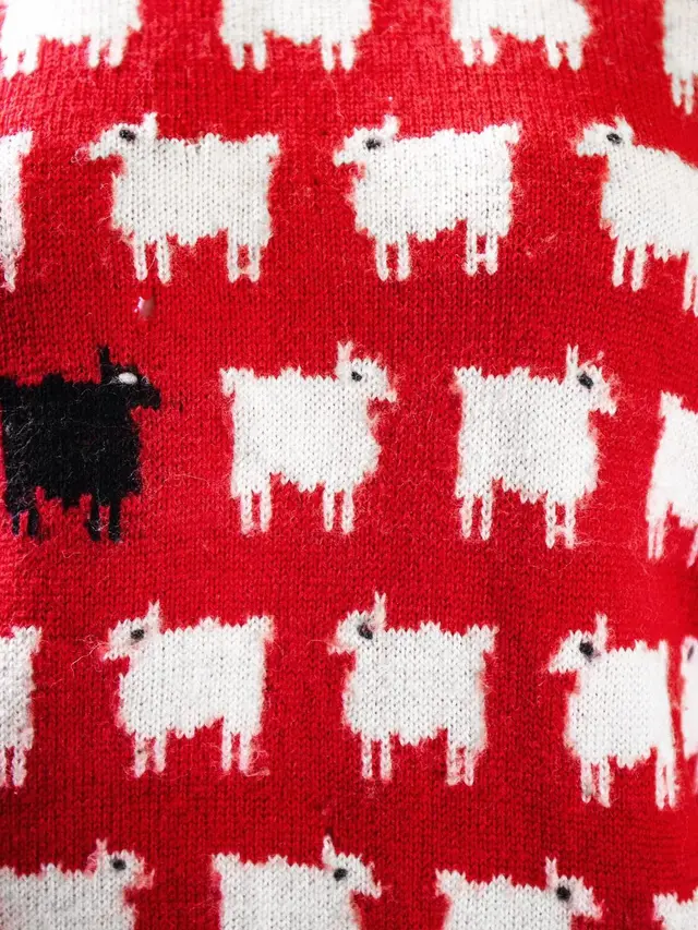 Sweater Motif Kambing Hitam Putri Diana Ditemukan Tak Sengaja di Loteng Desainer, Penuh Simbol Hubungannya dengan Charles