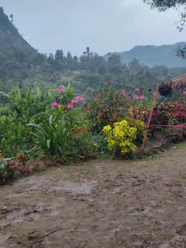 Taman Rumah Abah Jajang Rusak