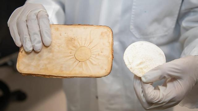 Jamur Bisa Menghalau Rumah dari Kebakaran