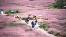 Wisatawan menikmati pemandangan di sebuah padang rumput berwarna pink (Muhlenbergia capillaris) di objek wisata Shenquangu di Wilayah Changshun, Provinsi Guizhou, China barat daya (2/9/2020). (Xinhua/Tao Liang)