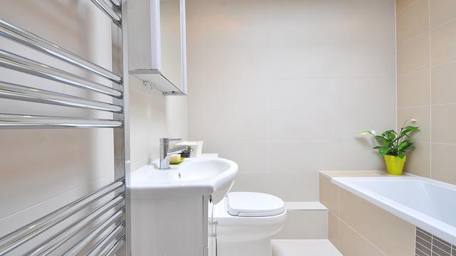 Tanaman hias kamar mandi (sumber: Pixabay)