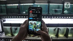 Pedagang menunjukkan toko ikan hias online miliknya di Pasar Ikan Hias Sumenep, Jakarta, Minggu (14/11/2021). Khususnya untuk penjual ikan hias seiring kebijakan baru anak perusahaan Meta Platforms Inc itu terkait larangan memperjualbelikan hewan. (merdeka.com/Iqbal S. Nugroho)
