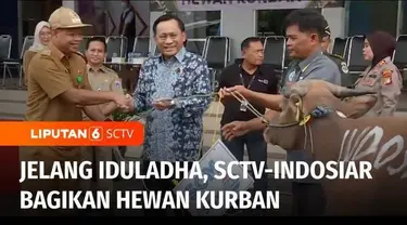 Jelang perayaan Iduladha, SCM grup SCTV-Indosiar membagikan hewan kurban pada masyarakat. Bantuan ini diharapkan dapat membantu mencukupi kebutuhan warga saat merayakan Iduladha.