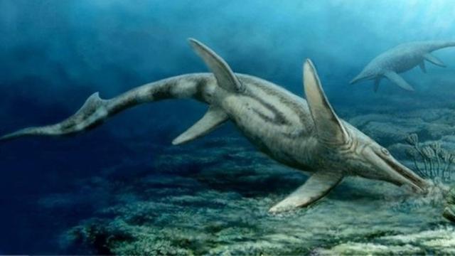 52+ Gambar Hewan Laut Prasejarah Gratis Terbaik