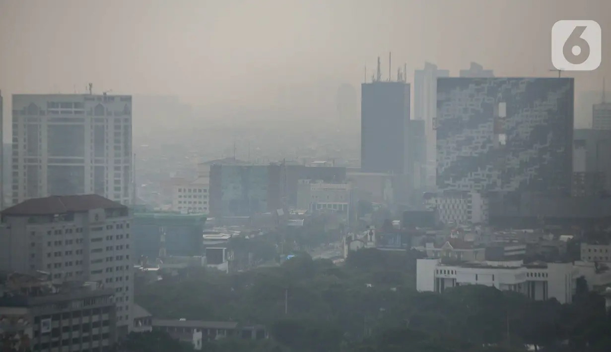 Angka tersebut menjadikan Jakarta sebagai kota  pertama dengan kualitas udara terburuk di dunia.(Liputan6.com/Faizal Fanani)
