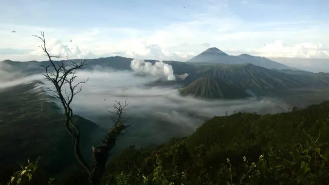 Keindahan Gunung Bromo dari puncak. (Istimewa)