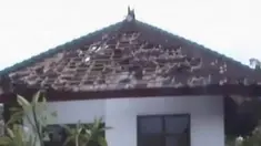 liputan6