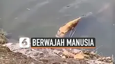 Beredar video yang membuat heboh media sosial. Video tersebut menunjukkan seekor ikan mas yang dianggap memiliki wajah seperti manusia. Ikan tersebut ditemukan seorang turis di danau Kunming, China.