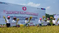 Prabowo Subianto Mau  Swasembada Pangan, Pupuk Indonesia Jamin Kesejahteraan Petani Perempuan