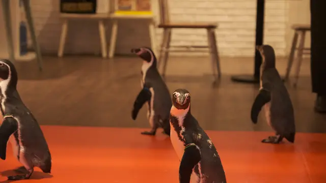 Jakarta Aquarium & Safari