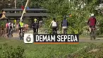demam sepeda