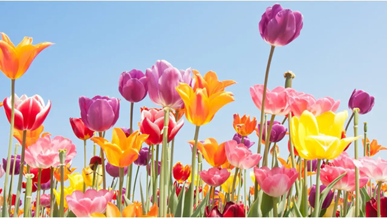 Courtesy ShutterStock.com