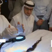 Pembersihan rambut Nabi Muhammad SAW telah membuat para umatnya menangis dan merindukan akan sosoknya.