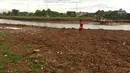 Seorang remaja sedang berlari di sekitar kawasan Danau Setu Babakan yang mengering di Jakarta, Jumat (5/1). Mereka bermain sambil mengisi waktu libur sekolah. (Liputan6.com/Immnanuel Antonius)