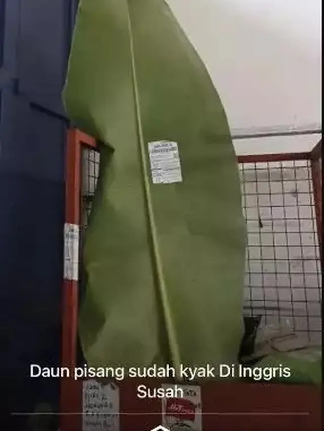 6 Paket Nyeleneh yang Bikin Kurir Senyum Lebar, Enggak Habis Pikir