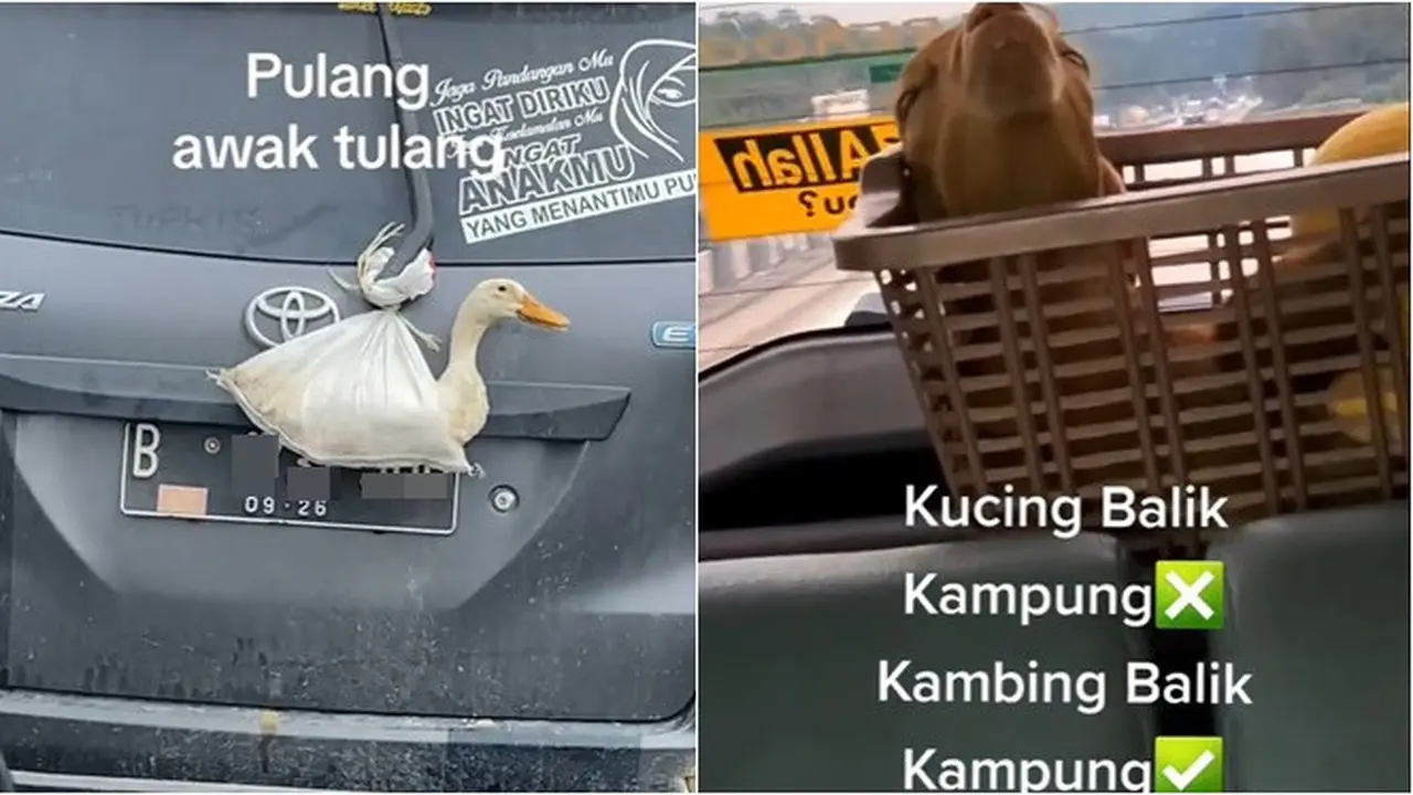 6 Potret Hewan Peliharaan Ikut Mudik Pakai Kendaraan Pribadi, Anteng Banget