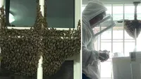 Ribuan lebah penuhi jendela apartemen. (Photo from Mothership reader)
