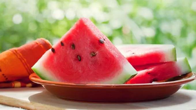 Copyright by Shutterstock.com