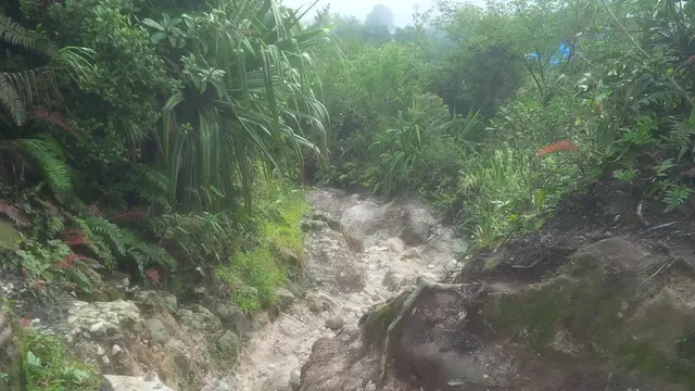 Jalur pendakian di Gunung Sibayak (Liputan6.com/Nefri Inge)