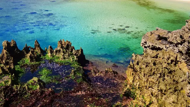 Wisata Kota Malang