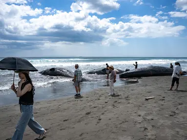 Orang-orang melihat paus sperma yang mati di Pantai Heisaura, kota Tateyama, Prefektur Chiba, Jepang pada 31 Juli 2025. (Philip FONG/AFP)