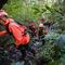 Dalam proses evakuasi, Basarnas menyiapkan sekitar 400 hingga 500 personel gabungan untuk kelancaran operasi. Tampak dalam foto, tim gabungan pencarian dan penyelamatan mendaki menuju lokasi yang diduga sebagai tempat jatuhnya pesawat turboprop Indonesia Air Transport yang kehilangan kontak sehari sebelumnya saat terbang dari Yogyakarta ke Makassar, di Pegunungan Bulusaraung, Sulawesi Selatan, Minggu 18 Januari 2026. (Muchtamir/AFP)